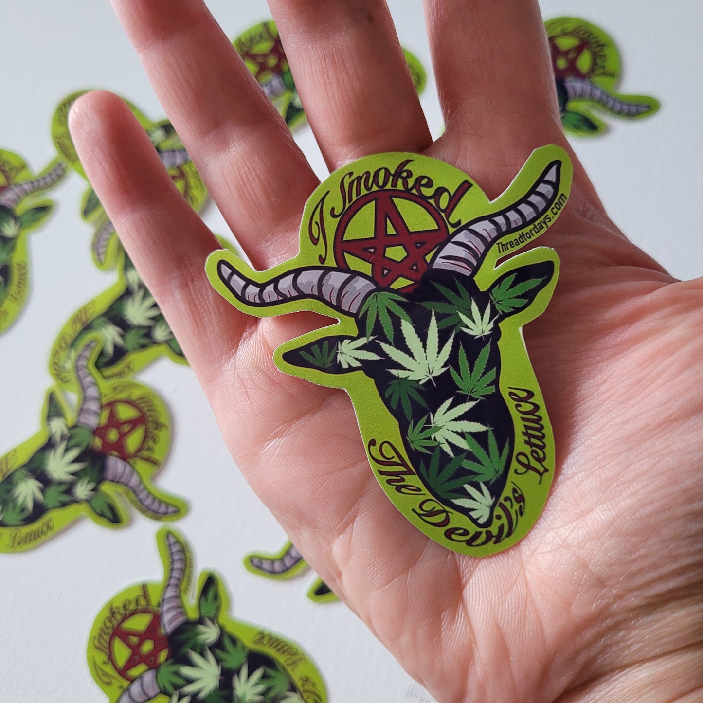 devils lettuce sticker in palm to indicate size