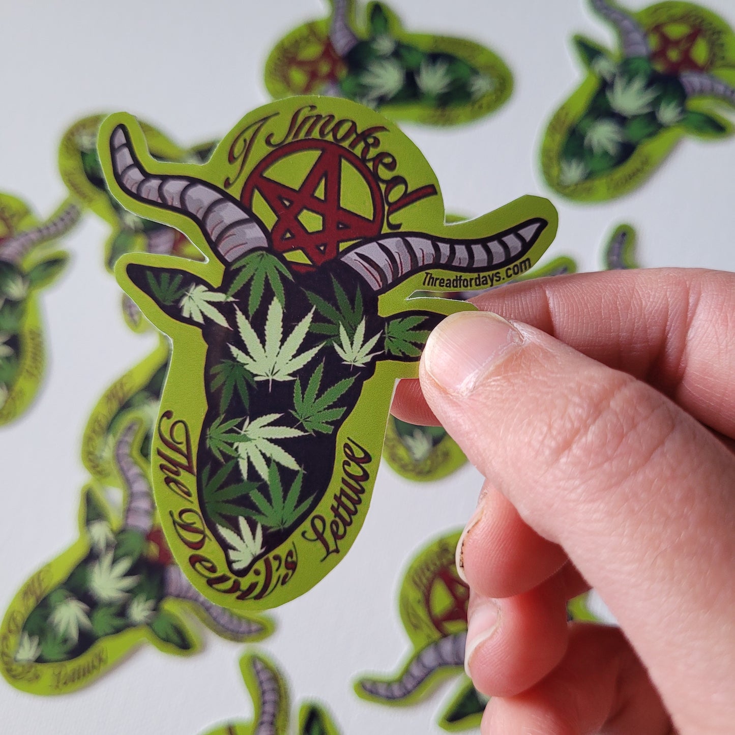 devils lettuce sticker held in hand