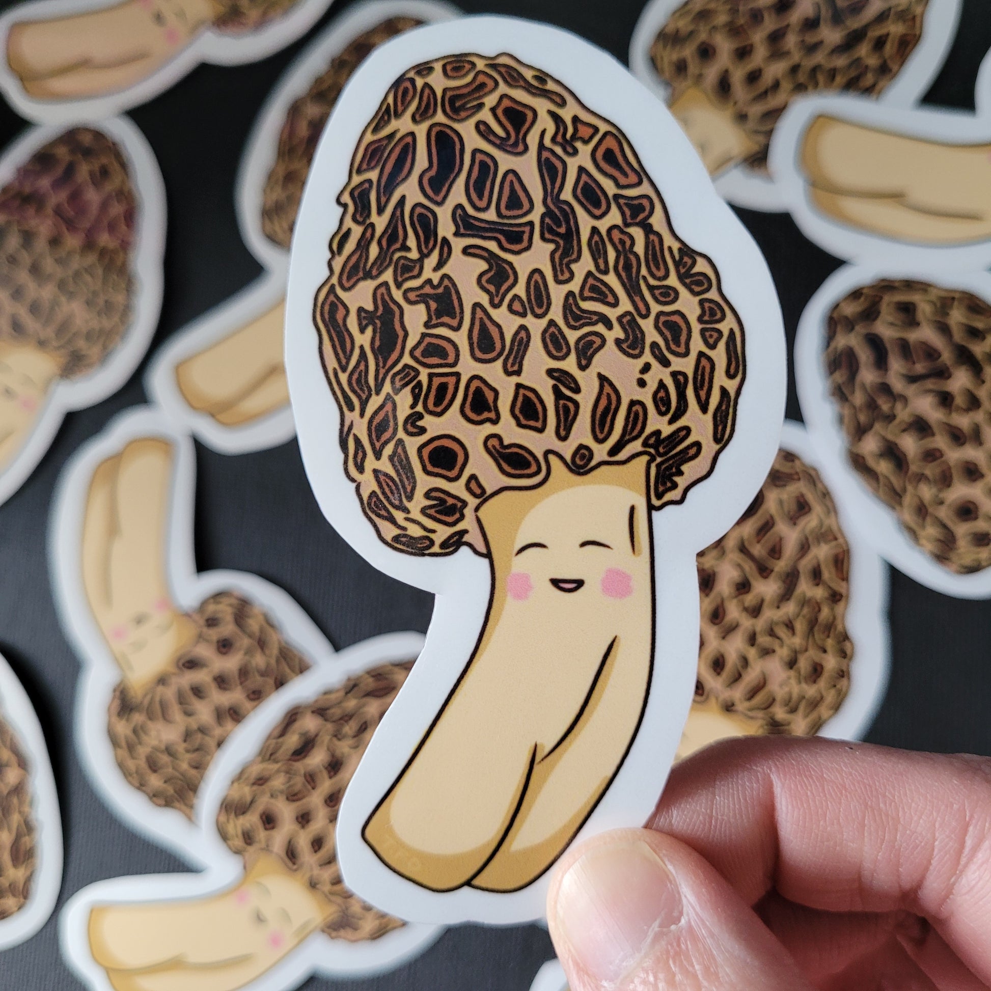 morel sticker held between fingers