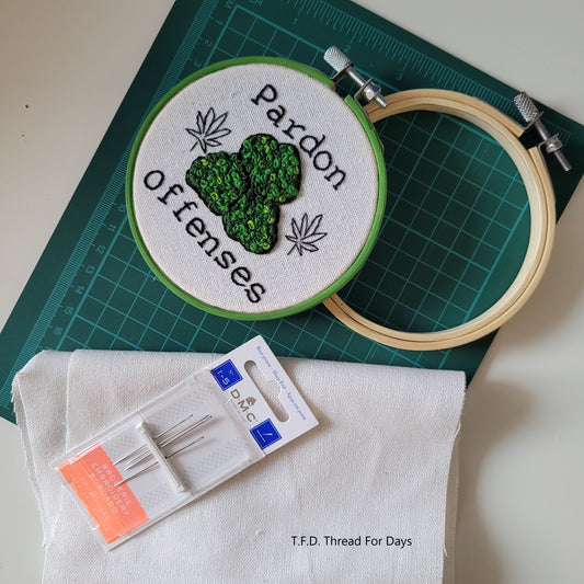 Pardon ouid offenses hoop with embroidery hoop fabric and needles