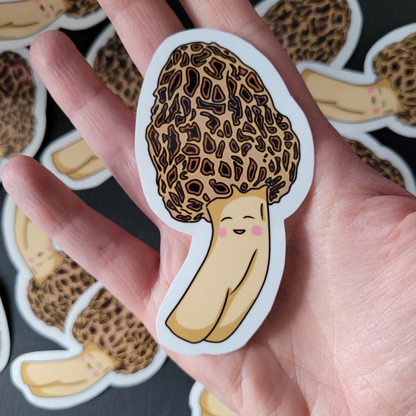 morel sticker in the palm of a hand for size