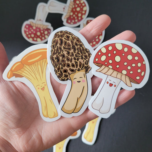 anamita mushroom, chanterelle, and morel mushroom sticker trio held in hand